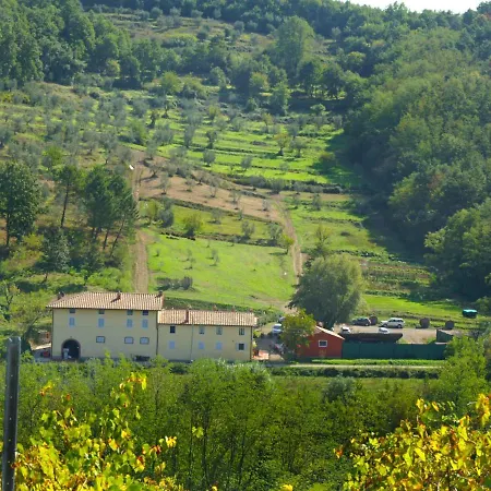 Crepuscolo By Interhome Apartment